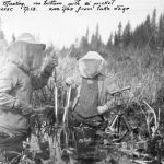 Swannell survey; "Muskeg, no bottom with 9' picket traverse tp.13. 200 yards from lake edge"